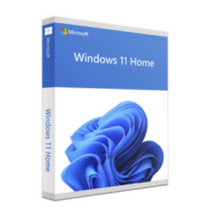 WIN 11 HOME 64B COEM 1PK SPANISH FISICO (S/DVD)