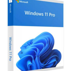 WIN 11 PRO 64B COEM 1PK SPANISH FISICO (S/DVD)