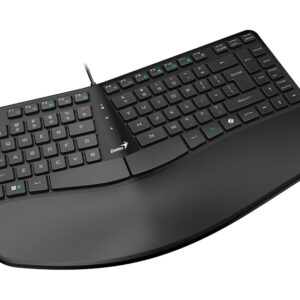 Teclado Genius Ergo KB-700 USB Ergonomico