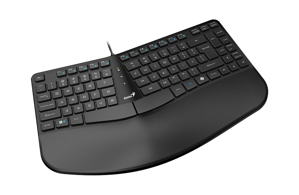 Teclado Genius Ergo KB-700 USB Ergonomico