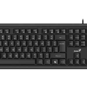 TECLADO GENIUS KB-113 USB BLACK