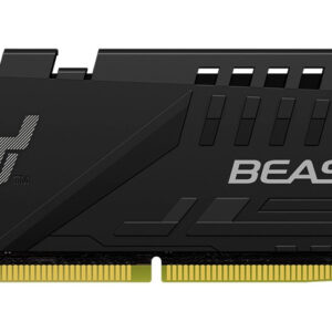 Memoria PC Fury DDR5 16GB 5600 Beast Negra